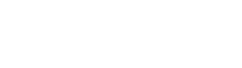 Consultoría en Comercio Exterior